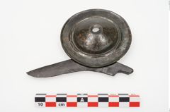 Foto von Bronzephalere (NHMW-PRAE-025077)